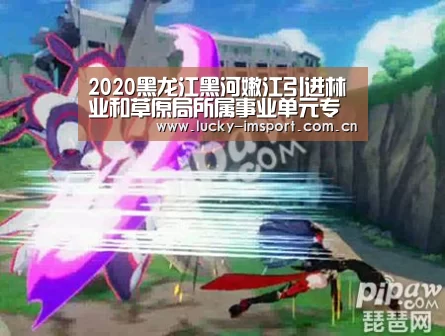 IM官网