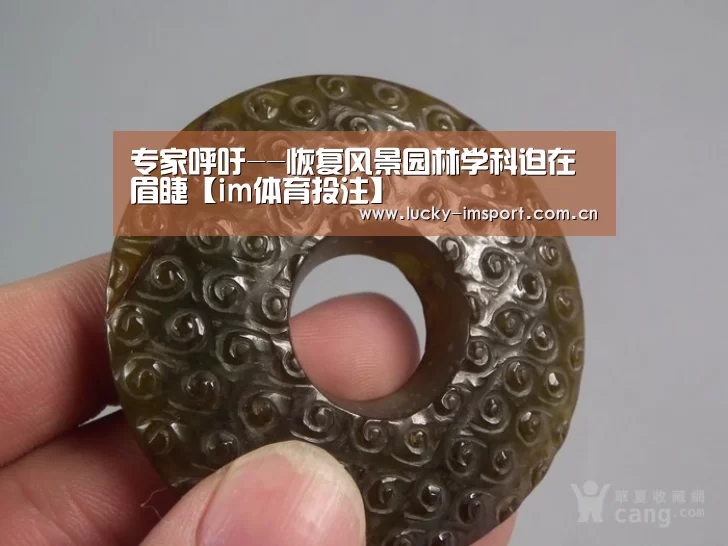 im体育