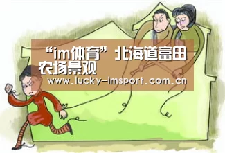 “im体育”北海道富田农场景观(图1) im入口