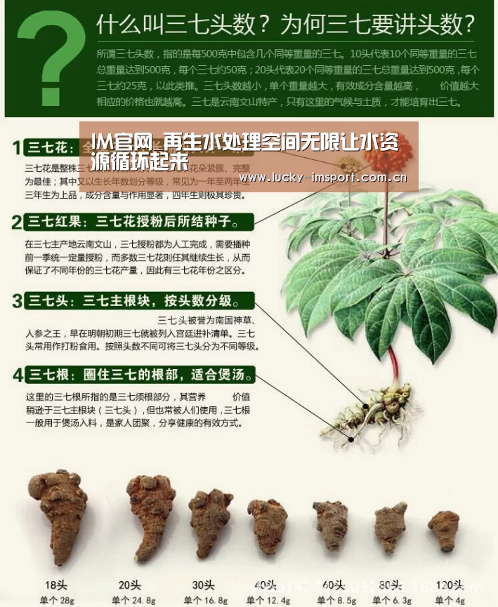 IM官网_再生水处理空间无限让水资源循环起来(图1) im体育投注