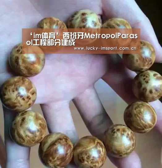 ‘im体育’西班牙MetropolParasol工程部分建成(图1) IM官网
