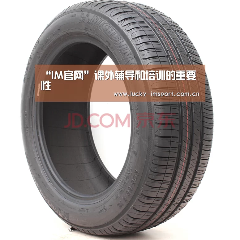 “IM官网”课外辅导和培训的重要性(图2) im入口