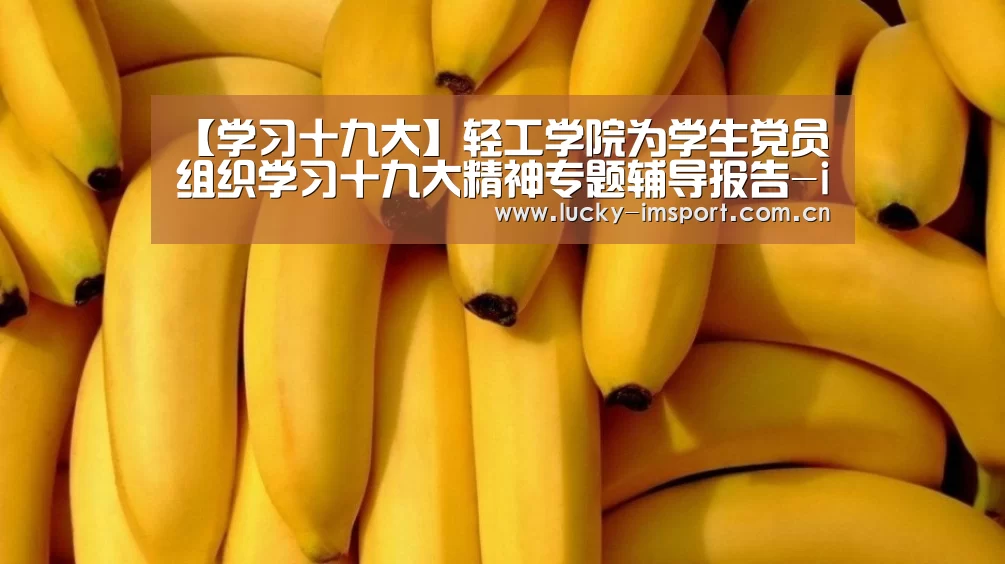 【学习十九大】轻工学院为学生党员组织学习十九大精神专题辅导报告-im体育(图4) IM官网