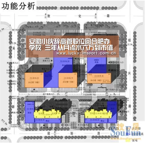 安徽小伙辞高管职位回合肥办学校 三年从月流水六万到市值五个亿:IM官网(图1) im体育投注